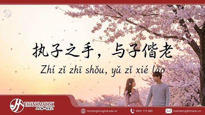 acau-noi-tieng-trung-hay-ve-tinh-yeu