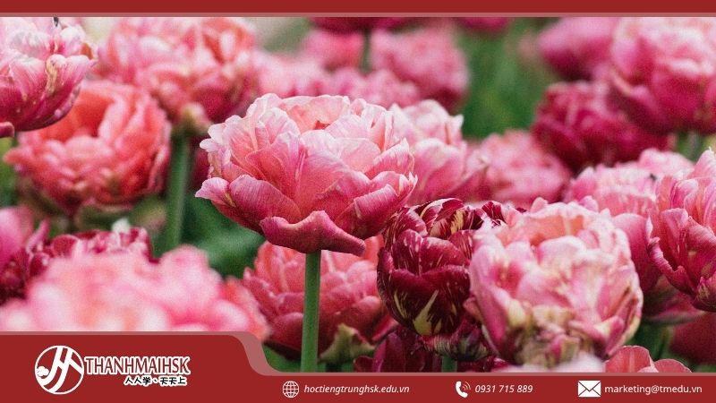 aquoc-hoa-cua-trung-quoc