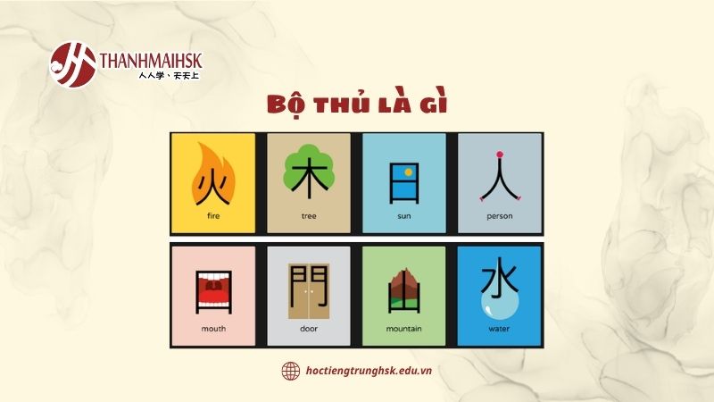 Bộ thủ là gì và vì sao người học HSK phải nắm vững