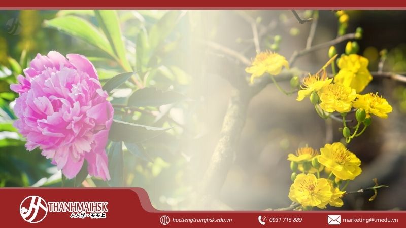 bquoc-hoa-cua-trung-quoc