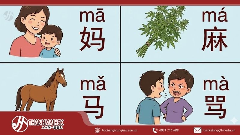 bthanh-trong-tieng-han-viet-nghia-la-gi