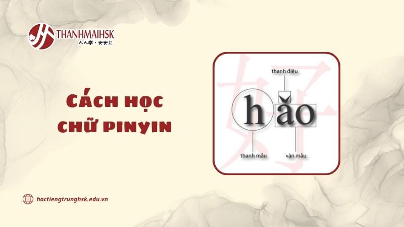 Cách học chữ pinyin hiệu quả cho người mới học tiếng Trung