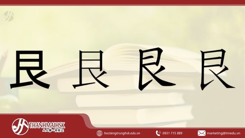 cbo-can-trong-tieng-trung