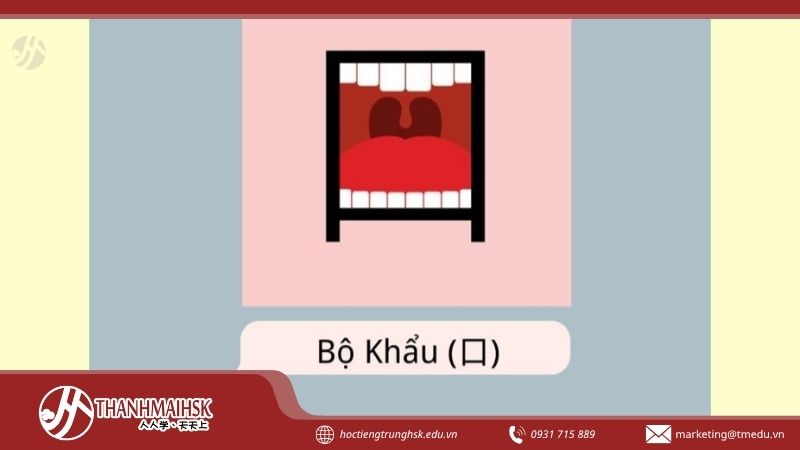 cbo-khau-tieng-trung