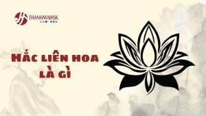hac-lien-hoa-la-gi