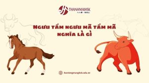 nguu-tam-nguu-ma-tam-ma-nghia-la-gi