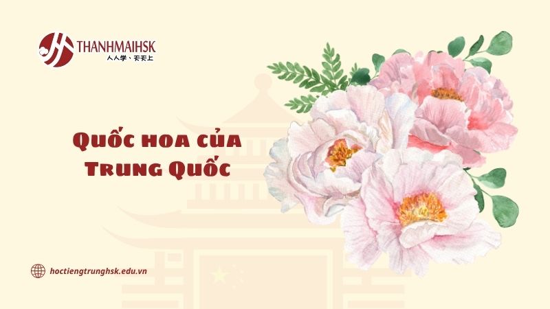 Quốc hoa của Trung Quốc: hiểu đúng trước khi học tiếng Trung