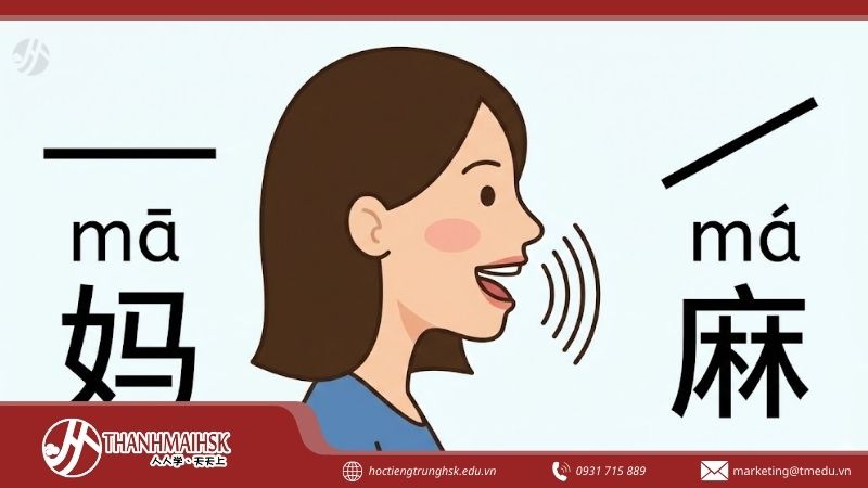 atieng-trung-co-bao-nhieu-thanh-dieu