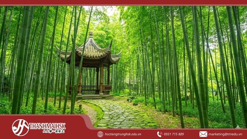 bngu-hanh-mau-sac-trung-quoc