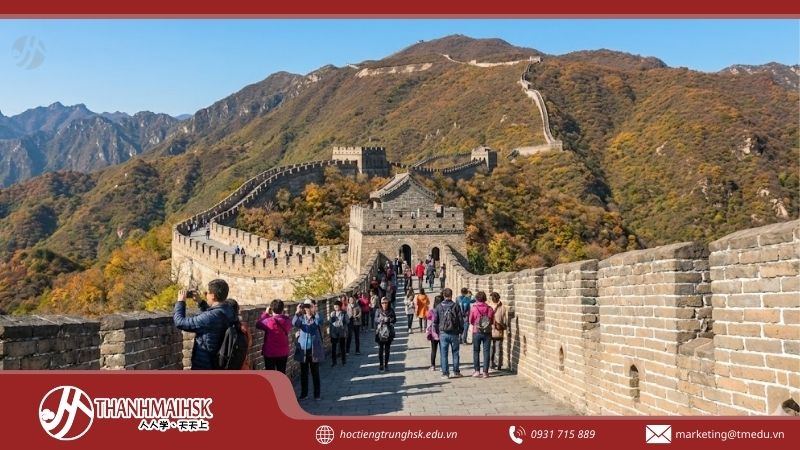 cai-xay-dung-van-ly-truong-thanh