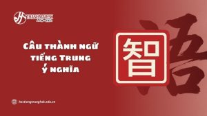 cau-thanh-ngu-tieng-trung-y-nghia