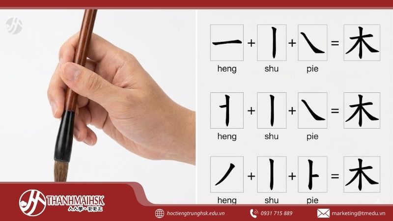 ccac-net-co-ban-trong-tieng-trung