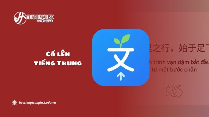 Cố lên tiếng Trung là gì? Cách dùng đúng trong giao tiếp