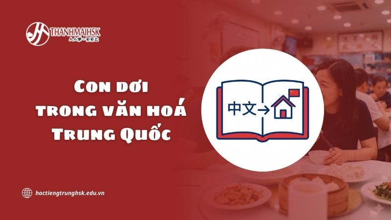 Học tiếng Trung để định cư ở Trung Quốc – nền tảng quan trọng cho cuộc sống lâu dài