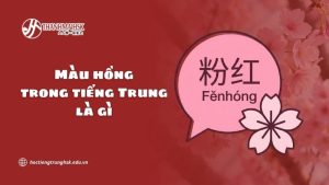 mau-hong-trong-tieng-trung-la-gi