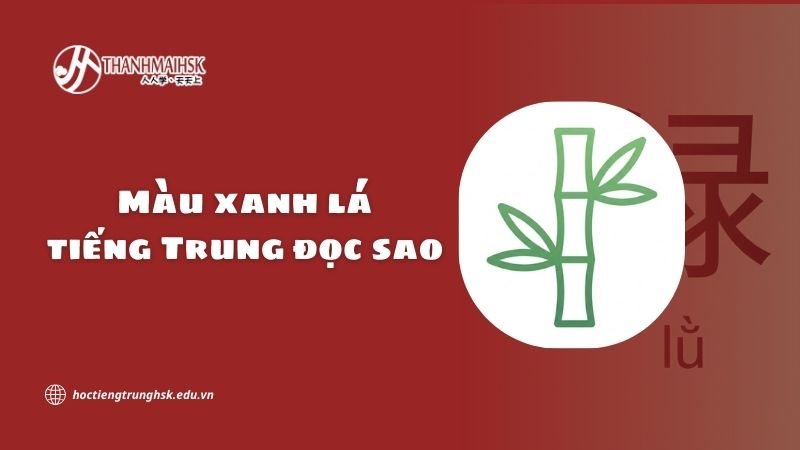 Màu xanh lá tiếng Trung đọc sao? Cách đọc và cách dùng