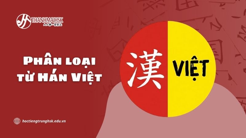 Phân loại từ Hán Việt và vai trò trong tiếng Việt đương đại