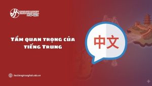 tam-quan-trong-cua-tieng-trung