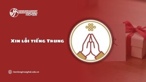 xin-loi-tieng-trung