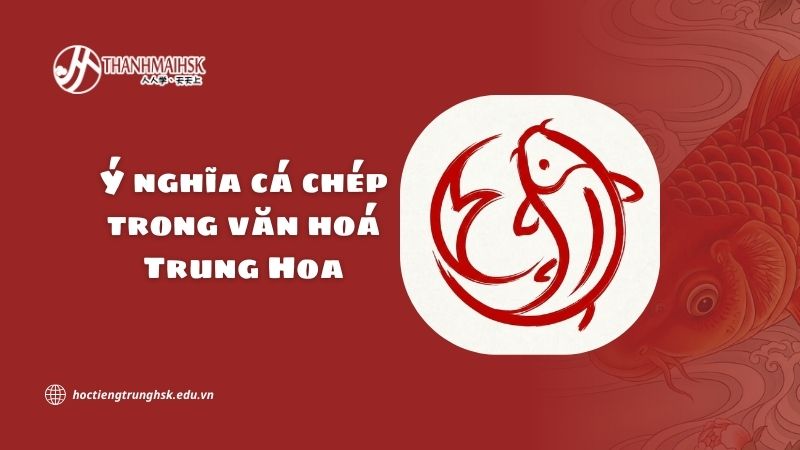 Ý nghĩa cá chép trong văn hoá Trung Hoa và giá trị biểu tượng