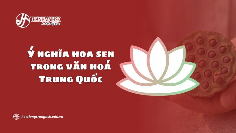 Ý nghĩa hoa sen trong văn hoá Trung Quốc và giá trị tinh thần