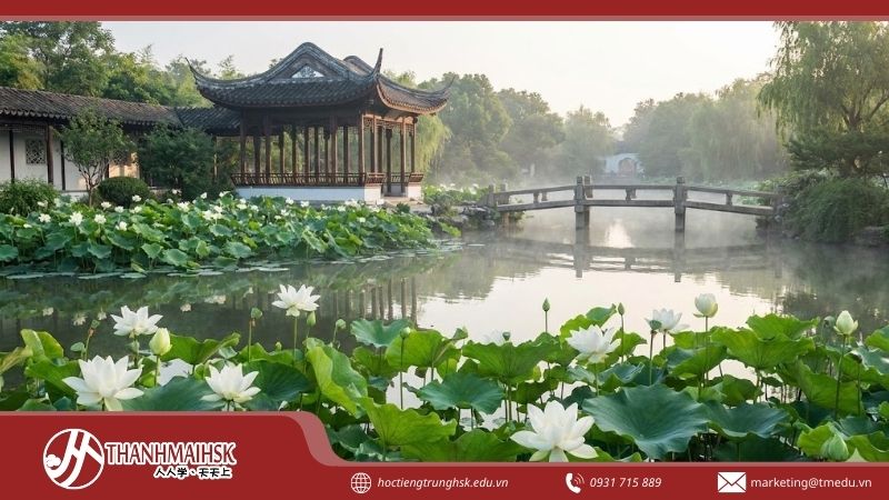 abach-lien-hoa-la-gi